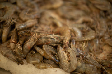 pulpo congelado, ostras congeladas, Cangrejos congelados, pescado en mercado, congelado, sabroso, fresco, salmon congelado
