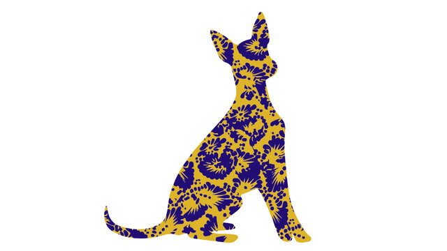 xoloitzcuintle  