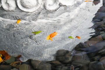 Leaves Floating in a Rippling White Foutain