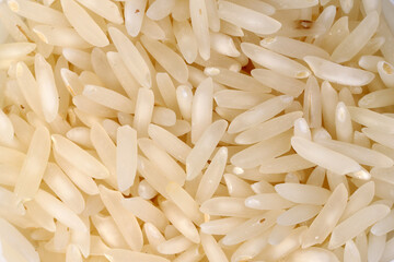 Medium grain jasmine rice on white background