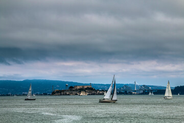 summer sailboats on  San Francisco Bay with the Alcatraz island on the background.