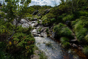 Fototapeta na wymiar Mountain tundra river landscape, Norway, on the way to Preikestolen