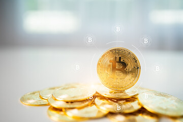 Bitcoin BTC Cryptocurrency Coins. Investing with Digital Assetsand trends in bitcoin exchange rates. .