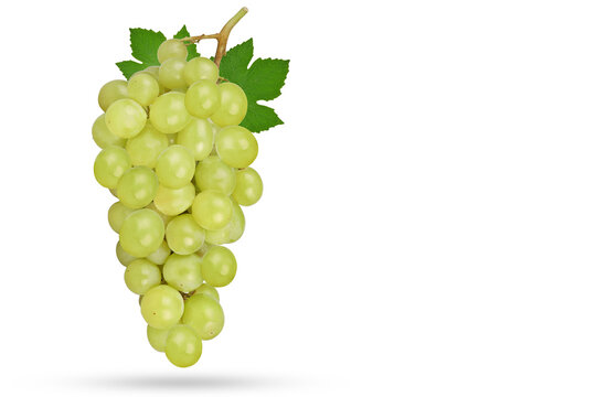Fresh ripe green Seedless grape falling in the air isolated on white background. with clipping paths.
