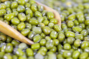 Close up of mung bean