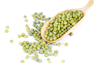 Mung bean