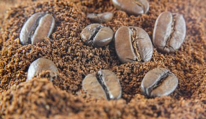 Coffee beans close up lying on the ground coffee