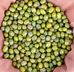 Mung bean background material