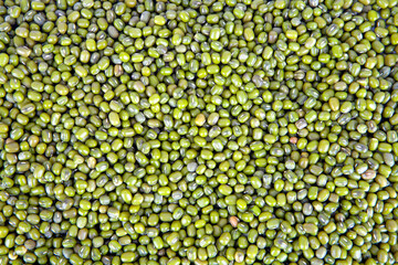 Mung bean background