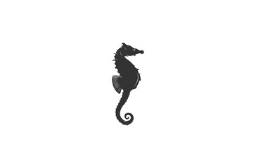 seahorse illustration on white background © wesome23
