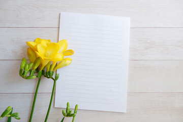 Spring concept. Yellow Freesia flowers with letter papers on white wooden background. Spring greeting. 春コンセプト、フレージア花とレター
