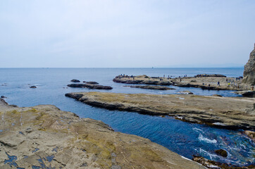 Chigogafuchi Marine Plateau is located in Southern coast of Enoshima island.