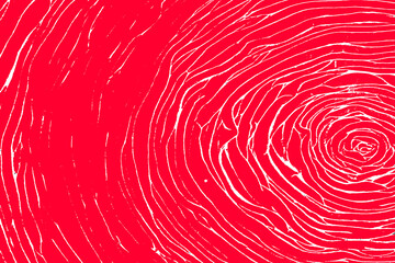 Red rose Abstract background. rose Abstract.