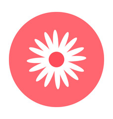 Kousa Flower Vector Icon