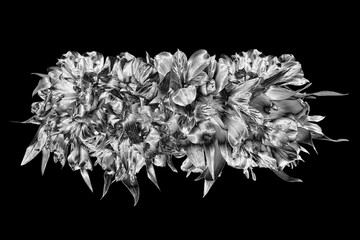 Silver flowers bouquet dark black background isolated closeup, beautiful black white flower bunch, shiny gray metal leaves, floral branch, decorative border pattern, design element, vintage decoration