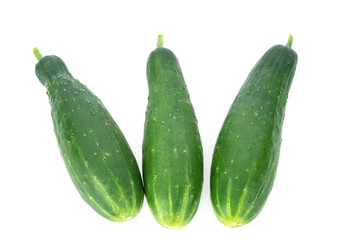 cucumber slice on white background.