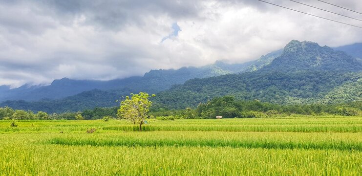 the river flows clear and swiftly around the residential district of Barru Sulwasi, March 14,2021