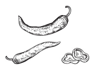 Hand drawn sketch black and white set of hot pepper, slice. vector illustration. Elements in graphic style label, card, sticker, menu, package, poster. © alexandrakuz
