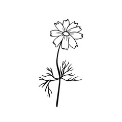 Colorful black and white pattern for coloring. Daisy flower illustration.