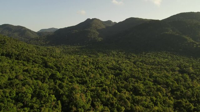 Slow rotating aerial shot of an expansive rainforest on the island of Koh Chang in Thailand.
