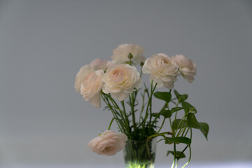 バナー、花、グレー、バラ、黒幕