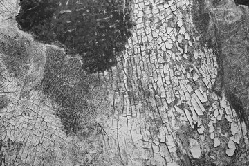 Black and White Peeling Paint or Old Grunge Crack Background and Rust Texture