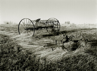 Sulky Rake. A sepia toned black and white image of an antique horse drawn Sulky type hay rake sitting in a field of fallen tall grass. Near Kirksville, Missouri USA, 1977.