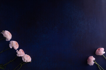 摩耗暗い、青色、産業、ゴシック背景、パターン、ピンク色バラがある