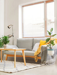 Comfortable sofa in interior of living room