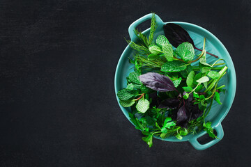 Green culinary herb on a black background. Parsley, dill, mint, basil in a blue dish. Top view.