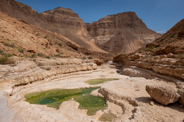 Fototapeta na wymiar Water pools created by heavy rain in dry wadi Hever, the nature reserve in Judaean Desert. White walls of a narrow canyon. Unusual and rare desert landscape.