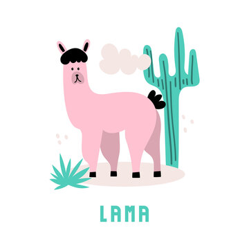 Childish flat vector illustration with alpaca on white background. Card with mountain lama
