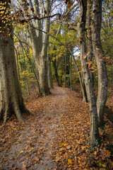 Obraz premium Sentier le long du canal, Versois