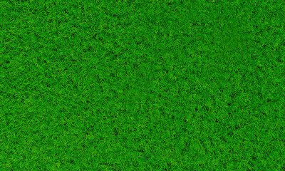 Plakat Top view Fresh green lawns for background, backdrop or wallpaper. Plains and grasses of various sizes are neat and tidy. The lawn surface is evenly shining and bright.3D Rendering