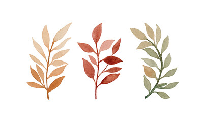Watercolor vector illustration of leaves