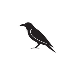 crow icon symbol sign vector
