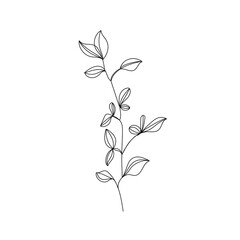 Obraz premium Leaves Continuous Line Drawing Black Sketch Isolated on White Background. Simple Leaves One Line Illustration. Minimalist Botanical Drawing. Vector EPS 10.