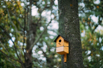 Colorful birdhouse on the tree in the park