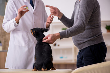 Young male doctor vet examining dog in the clinic