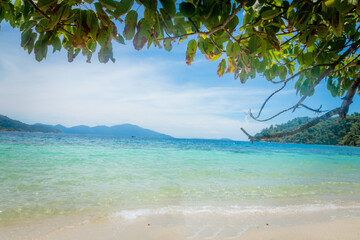 An exotic beach with trees, blue water, Koh Lipe, Thailand.