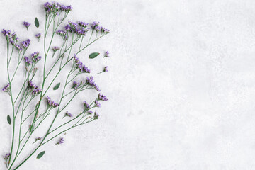 Flowers composition. Purple flowers and eucalyptus leaves on concrete gray background. Flat lay,...
