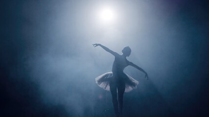 Young Prima Ballerina Dancing In Front Of Audience In Full Ballet Dress Femininity Beauty Dark Emotion Concept