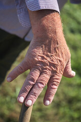 Old man hand against green background. Exterior shot. 