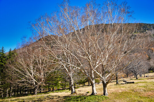 32 最適な 澄み切る 画像 ストック写真 ベクター Adobe Stock