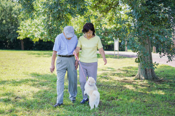 夫婦で犬の散歩をする元気なシニア