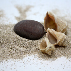 Fototapeta na wymiar Sea round stones and seashells on the fine sand. Selective focus.