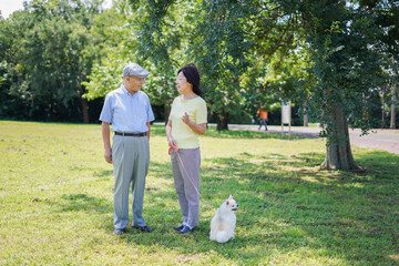 Fototapeta premium 夫婦で犬の散歩をする元気なシニア