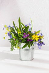 A bouquet of blue snowdrops, yellow primroses in a metal bucket on a white wooden background. The concept of spring, first flowers, sunny mood. Vertical natural background, layout for postcard design.