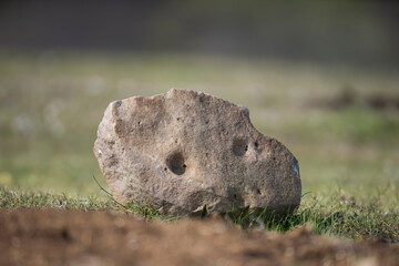 Rock in grass. Natural texture background. Big stone on green lawn.