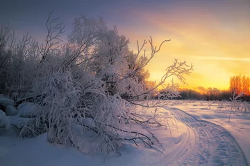 frostiger Winterabend im Feld und Spur © smolskyevgeny